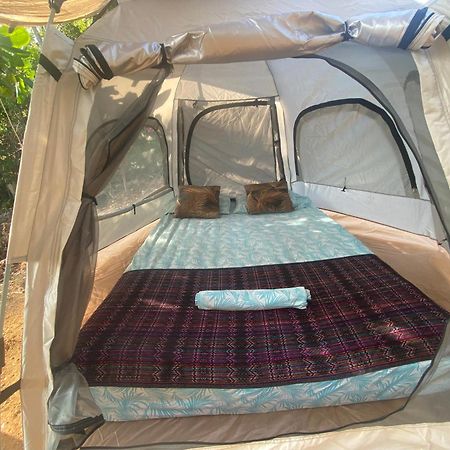 Bajo Las Estrellas Eco Glamping Масунте Екстериор снимка