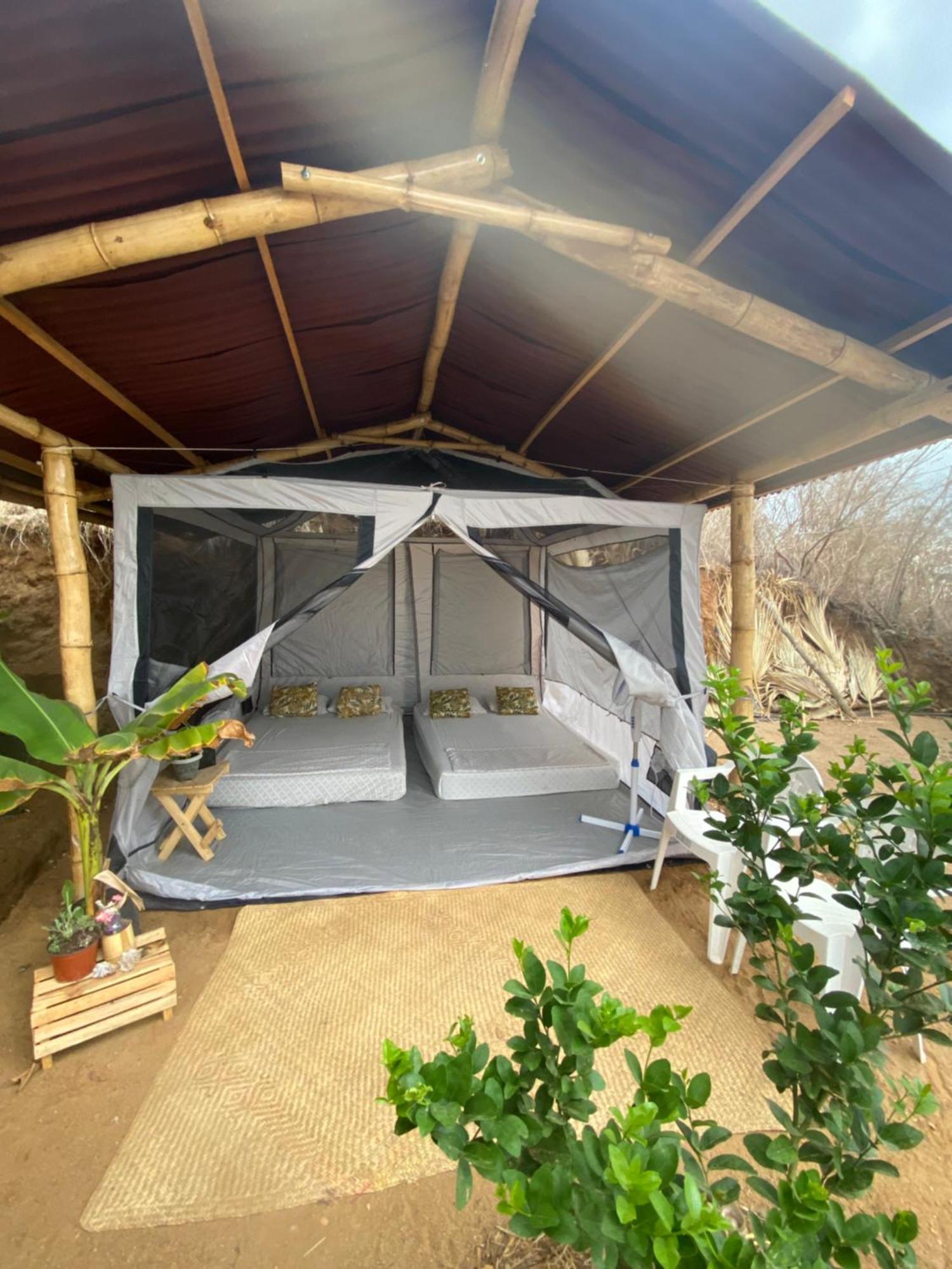 Bajo Las Estrellas Eco Glamping Масунте Екстериор снимка