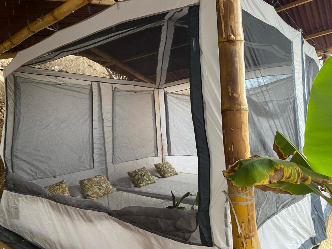 Bajo Las Estrellas Eco Glamping Масунте Екстериор снимка